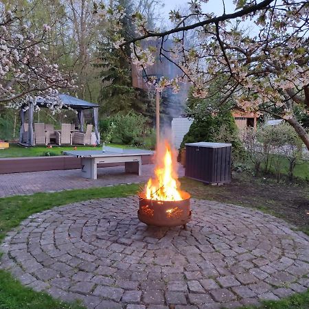 Grosszuegige Ferienwohnung Am Waldesrand Im Seenland Lauta Εξωτερικό φωτογραφία