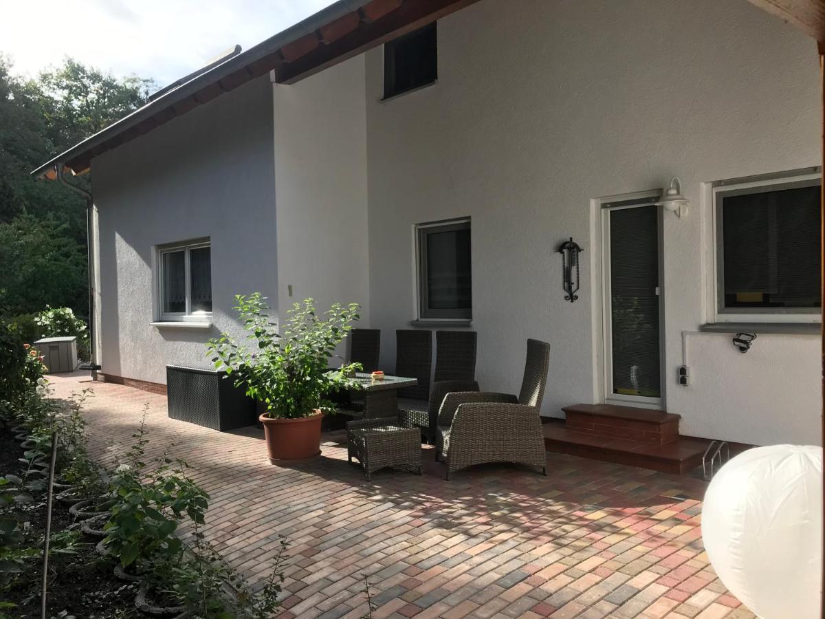 Grosszuegige Ferienwohnung Am Waldesrand Im Seenland Lauta Εξωτερικό φωτογραφία