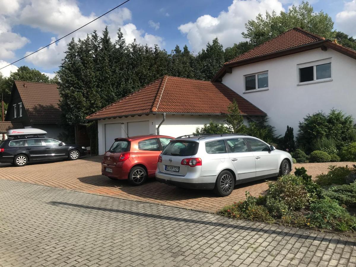 Grosszuegige Ferienwohnung Am Waldesrand Im Seenland Lauta Εξωτερικό φωτογραφία