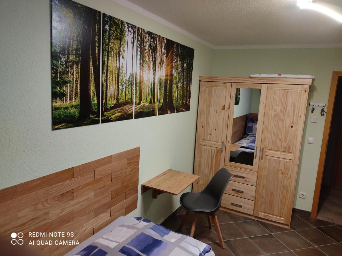 Grosszuegige Ferienwohnung Am Waldesrand Im Seenland Lauta Εξωτερικό φωτογραφία